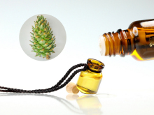 Natural Essential oil from Pinecone for sterilize