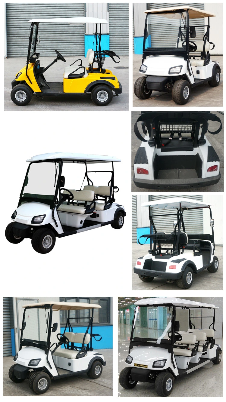 China Zhongyi Brand 4 6 8 Seater Sightseeing Club Inpower Brand Separately Excited Golf Cart with Ce