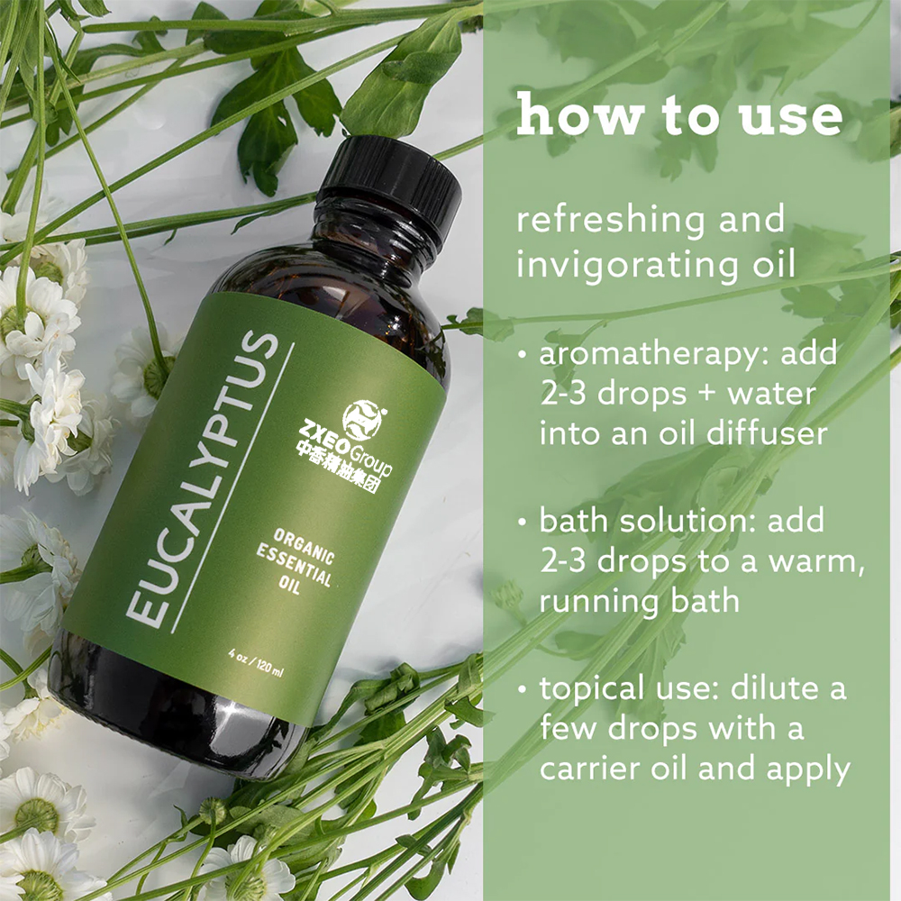 Óleos de perfume do fabricante Fragrância concentrada Oil puro Eucalyptus Óleo essencial, aromaterapia natural 100% pura