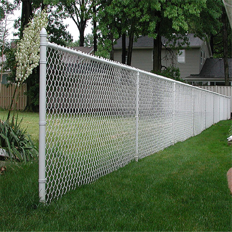 Chain lick fence