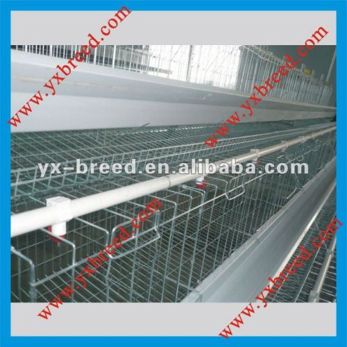 egg laying chicken cage of Nigerian/African market