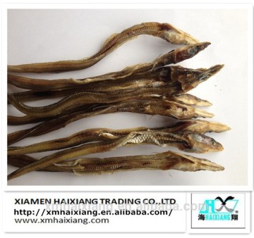 Dried eel fish suppiler from China