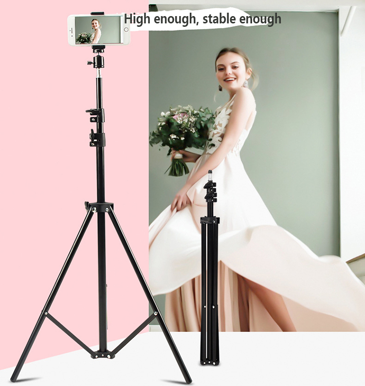 1.6M Light Stand