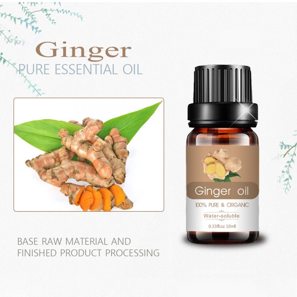 Ginger Hurtowa hurtowa aromaterapia zapachowa olejek eteryczny