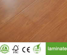 Laminate Floors for Bathrooms