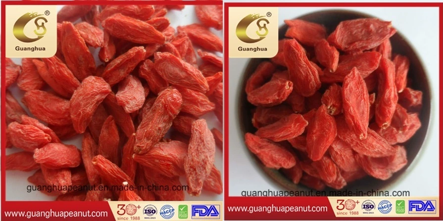 Best Quality Ningxia Organnic Lower Pesticide Good Fragrance Dried Goji Berry