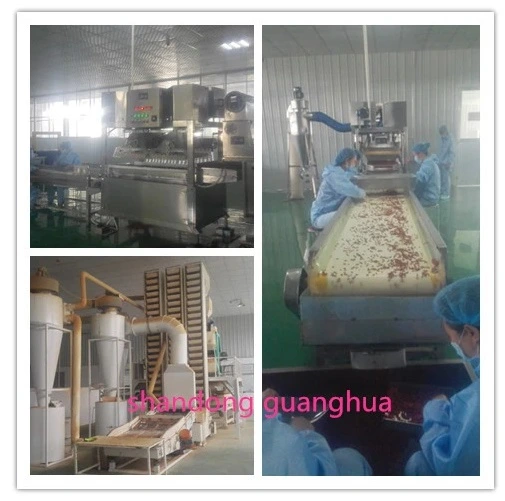 High Quality Dried Goji Berry From China