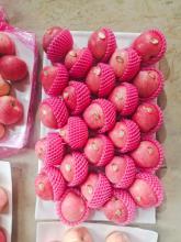 No.1 Fresh Apple From Yantai