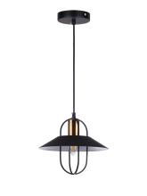 Simple Iron Pendent Interior Light