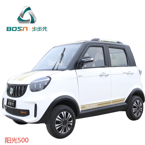 Lowest price Mini Electric Car for Family