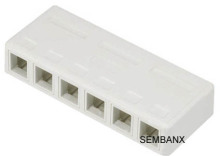 6 Port Surface Mount Box?