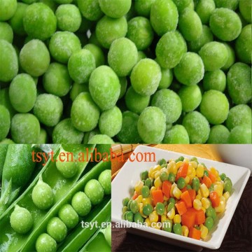 supply offer hebei cheap cheapest iqf chilled frozen green pea peas