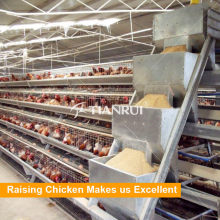Direktverkauf Bauernhof Geflügel Automatische Fütterung System für Hühnerkäfig