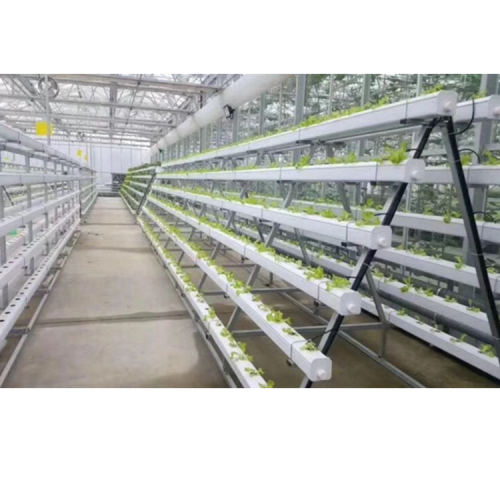 Sistema Greenhouse NFT Hydroponics para salada de alface-Skyplant