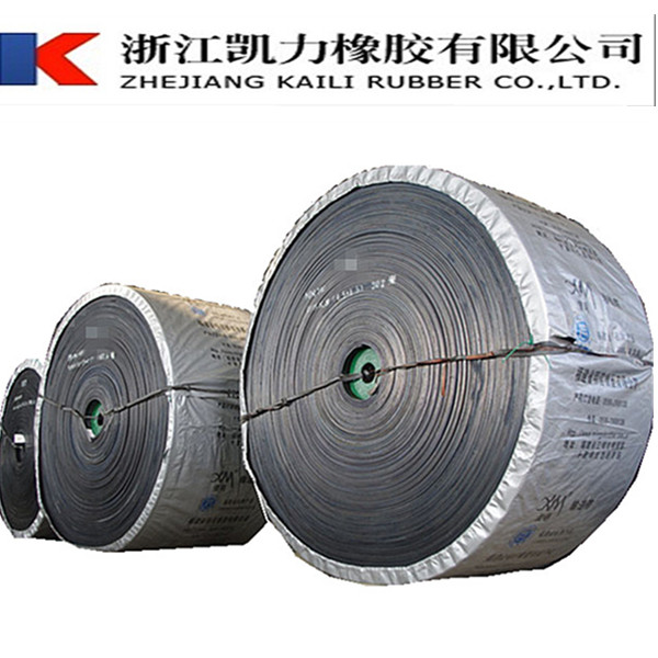 Wholesale Price High Quality Heat Resistant Conveyor Belt