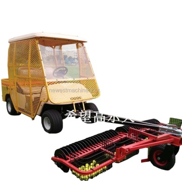 Beach Buggy Golf Carts with Ball Pickup - Price for 2 Passengers