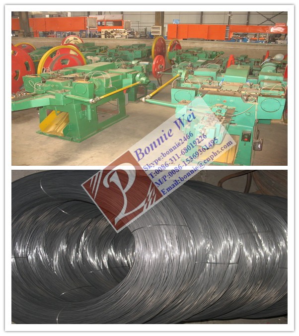 Hot dipped galvanized Spiral rolled roofing nail