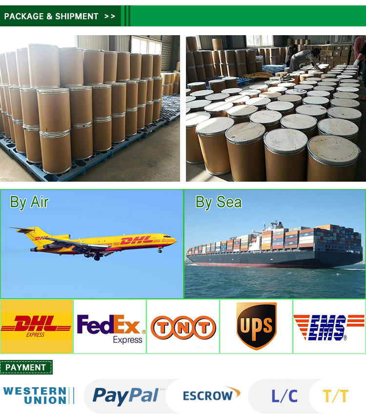 Factory Supply Pure Natural Organic High Quality Saw Palmetto Fruit Extract Powder