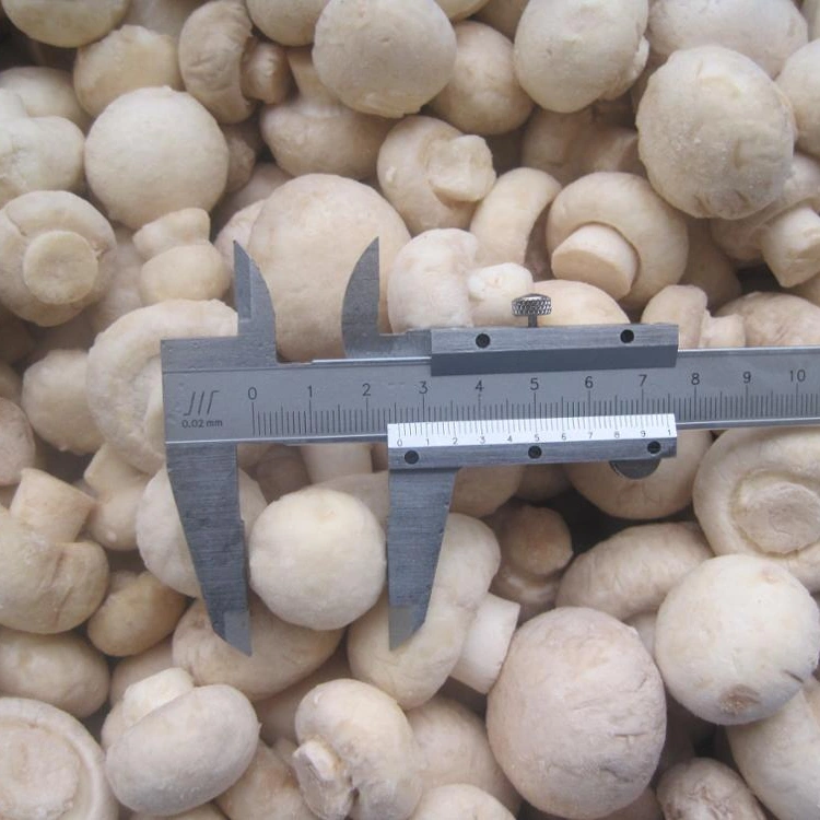 IQF Frozen Champignon Mushroom Whole