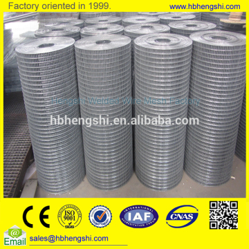 Hot-dipped zinc coated welded wire mesh supplier/4x4 welded wire mesh