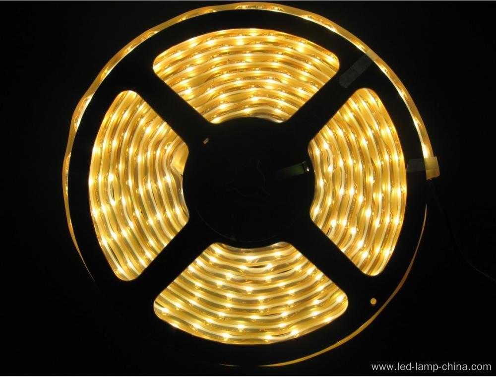 New Design Circle SMD3528 LED Strip Light