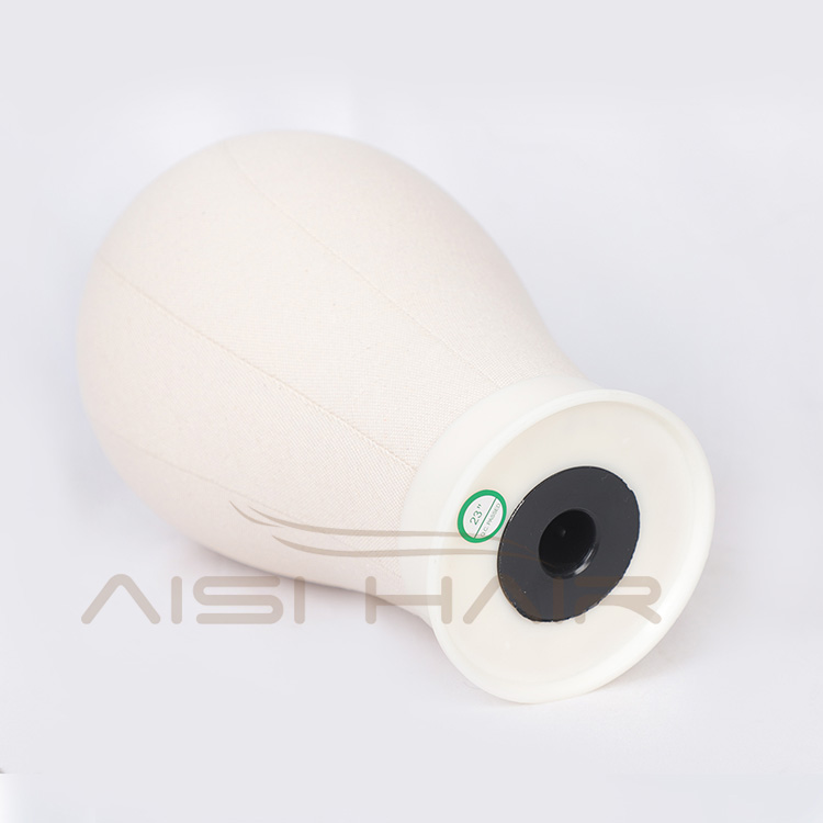 Aisi Hair Professional Poly Canvas Block Mannequin Head for Wig Making Displaying Drying Free Gifts