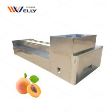 Easy Operation Fruit Core Remover Machine - Apricot Plum Cherry