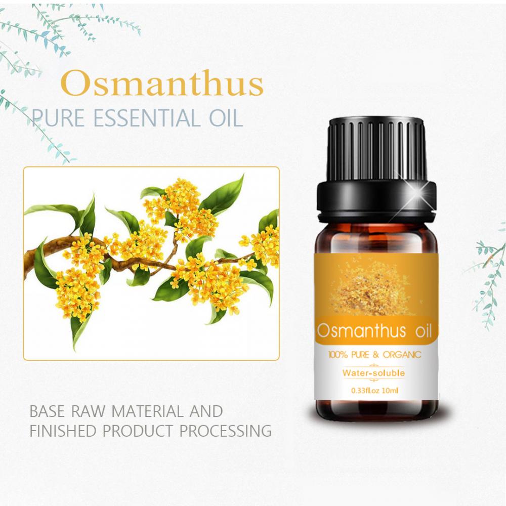 Pure Natural Organic Osmanthus esencial Aceite para difusor
