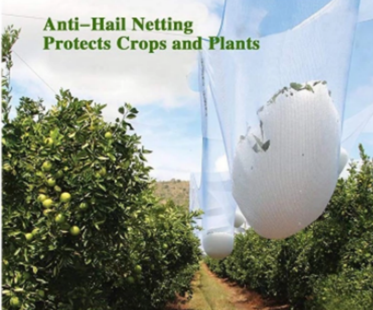 Anti Hail Net For Agriculture