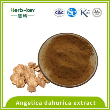 Solid drink Angelica extract Angelica powder