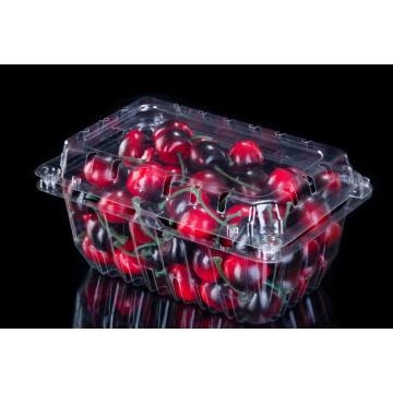Embalaje transparente de concha de fruta