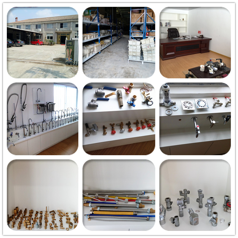 Corrosion resistant alcohol solenoid valve 24v