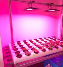 new design greenhouse tent grow light for seedling plants growth