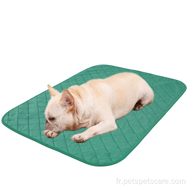 Taft de pipi de chien imperméable tapis d'entraînement lavable