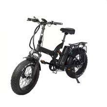 Fat Tire Folding Electric Bike Removable Lithium Battery