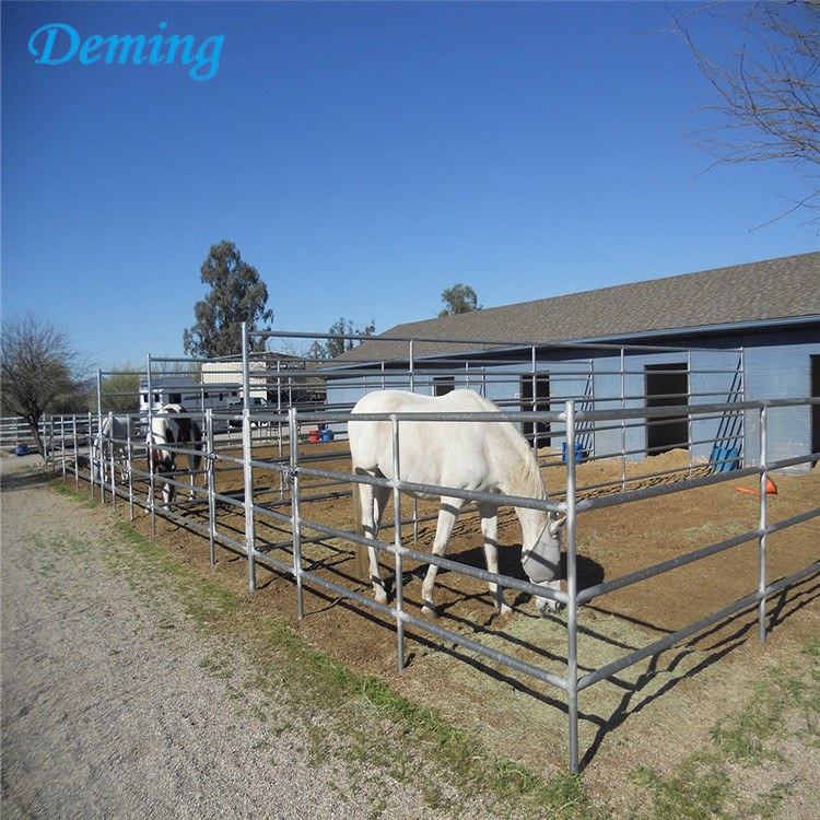 Iron Rails Galvanised Horse Fence for Protection