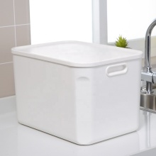 Large Plastic Kitchen Cabinet Storage Box with Handle for Household Organization