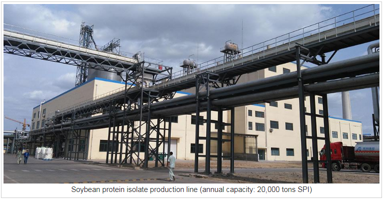 Sojabohnenprotein-Isolat-Produktionslinie Soybean protein isolate production line