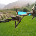 Hot dipped galvanized twist barbed wire