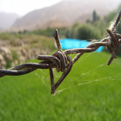 High Quality Barbed Wire Fence for Sale