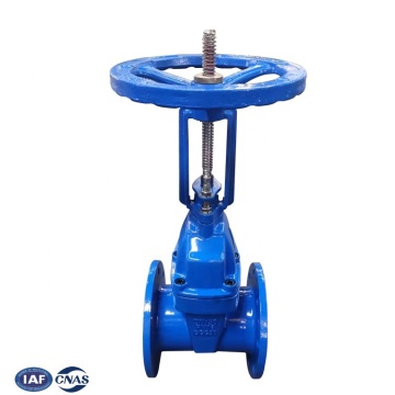 Soft Seal Rising Stem Gate Vale