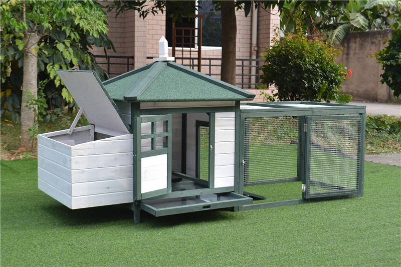 nouveau poulailler design new design chicken house
