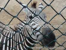 Wire Mesh Barrier For Security?