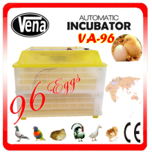 Competitive Price! CE Approved Professional & Full Automatic Used Chicken Egg Incubator for Sale Va-96 Holding 96 Chicken Eggs