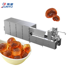 2025 Automatic Jelly Bear Candy Making Machine