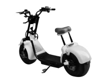 2 wheel scooter eletric 1000w scrooser electric citycoco scooter