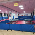 Tischtennis-Sportboden/PVC-Boden Indoor-Sportboden