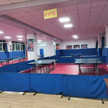 anti slip surface PVC sports flooring for ping pong sports