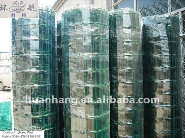 Welded Dutch netting (Factory and good Price )