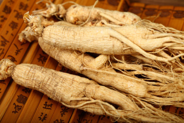 Nature quality medicinal materials white ginseng